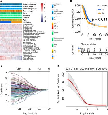 A more novel and powerful prognostic gene signature of lung adenocarcinoma determined from the immune cell infiltration landscape